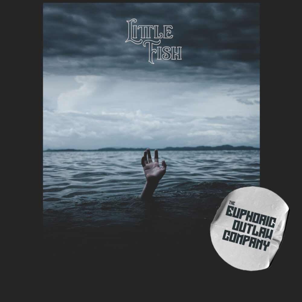 Little_Fish_-_cover2-scaled